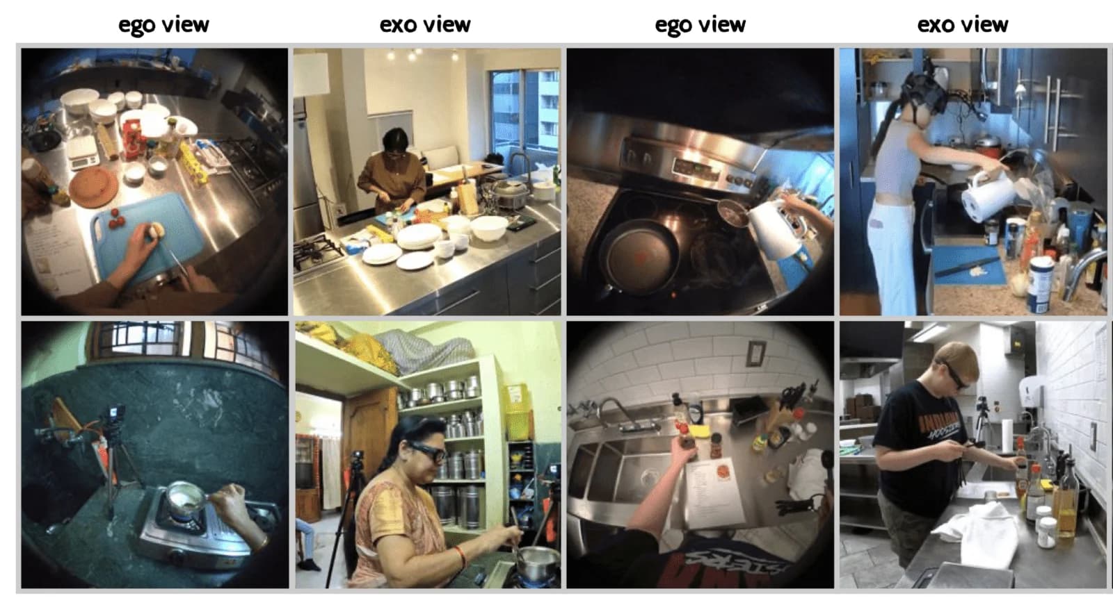 Ego-Exo4D kitchen demonstrations pairing first-person and external camera views